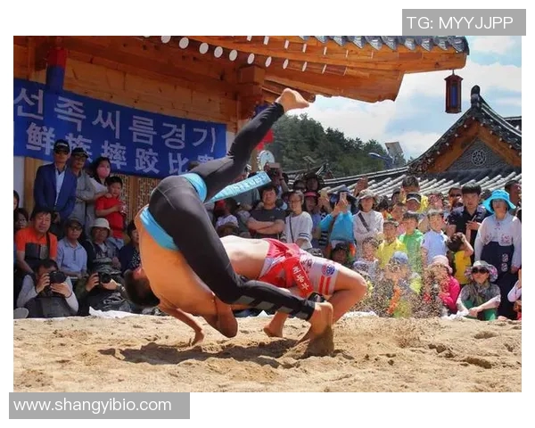 朝鲜体育明星排行榜前十名揭晓他们的辉煌成就与影响力分析