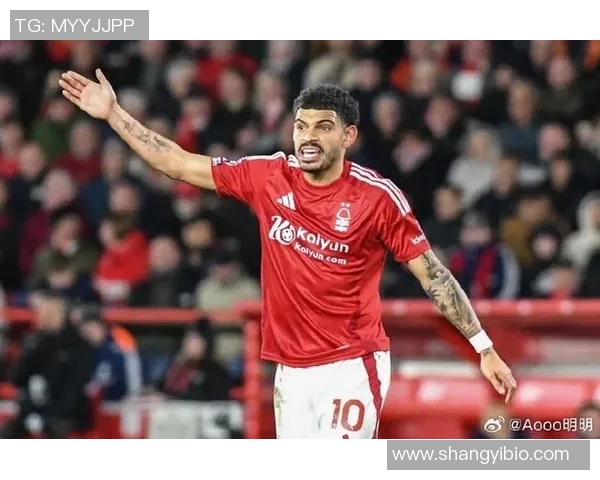 吉布斯足球明星排名揭晓谁将成为本年度最佳球员的热门人选