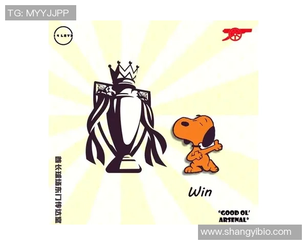 阿森纳球迷必看足球明星头像推荐与解析