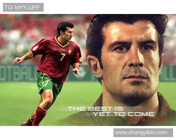 中东地区球迷心目中的足球偶像与明星球员的魅力分析