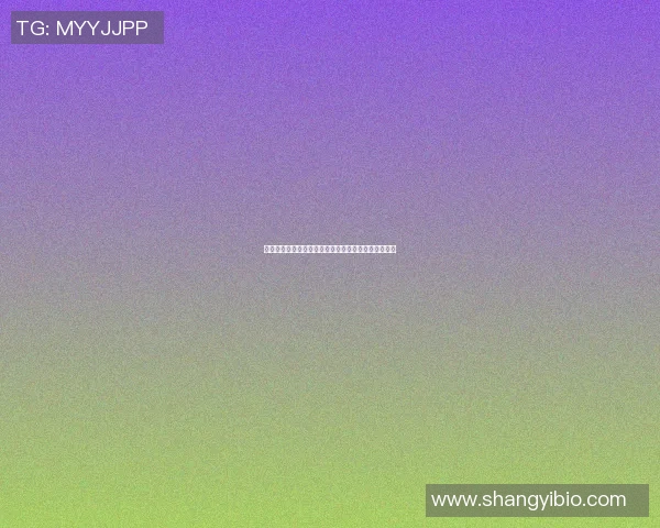 格雷米与累西腓的激烈对决揭示巴西足球的魅力与挑战