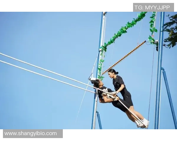 中国体育文化教育的传承与创新探索促进青少年全面发展