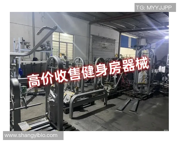 探索贵阳健身器材市场的潜力与发展趋势助力健康生活方式