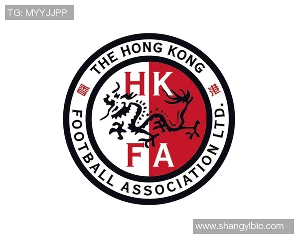 香港足球明星队主题曲激励团结奋进展现梦想与荣耀的旋律